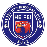 Logo của Hefei Sports School City U17