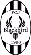 Logo của FC Jyvaskyla Blackbird