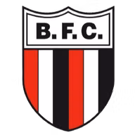 Logo của Botafogo-SP Youth