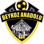 Logo của Beykoz Anadoluspor U19