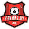 Logo của AFC Hermannstadt (W)