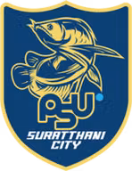 Logo của Surat Thani City