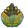 Logo của Kampong Speu Province