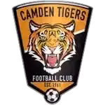 Logo của Camden Tigers (W)