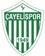Logo của Cayelispor