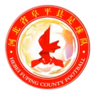 Logo của Hebei Fuping Village