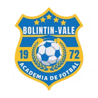 Logo của Bolintin Vale