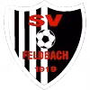 Logo của SV Feldbach