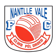 Logo của Dyffryn Nantlle Vale