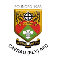 Logo của Caerau Ely