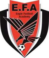 Logo của Eagle FA