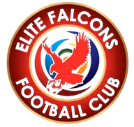 Logo của Elite Falcons FC
