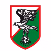 Logo của Sokol Kleczew