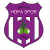 Logo của Artvin Hopaspor