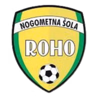 Logo của NS Roho Vbo