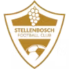Logo của Stellenbosch FC Reserves