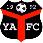 Logo của Ynyshir Albions
