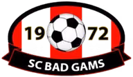 Logo của SC Bad Gams