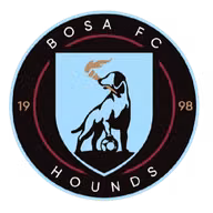 Logo của BOSA SC