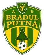 Logo của Bradul Putna
