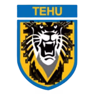 Logo của Nanjing Tehu Football Club