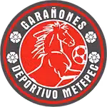 Logo của Deportivo Metepec
