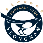 Logo của Seongnam FC