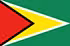 Logo của Guyana U17