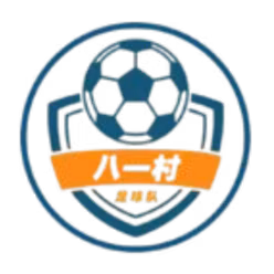 Shanghai Jinshanwei Bayi Village Football Team