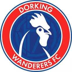 Dorking Wanderers (w)