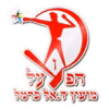 Hapoel Dalyat El Carmel