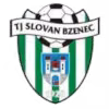 Horni Briza