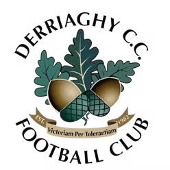 Derriaghy FC