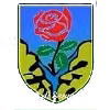 ASD Seravezza Calcio