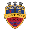 Flint City Bucks