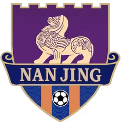 Nanjing Team