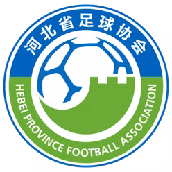 Hebei Snow Ruyi (nữ)