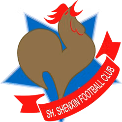 Shanghai Shenxin(2003-2020)