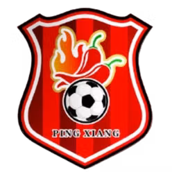 Pingxiang Team