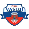 CSSM Vaslui