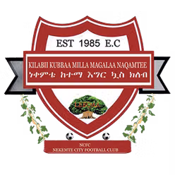 Nekemte Ketema