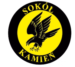 Sokol Kamien