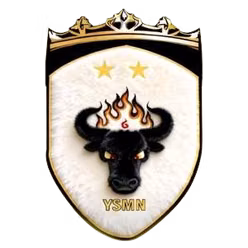 Yushu Yak