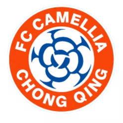 Chongqing Dikai