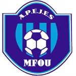 APEJES Academy