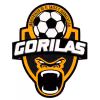 Gorilas de Juanacatlan II
