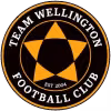 Team Wellington