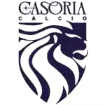 Real Casoria Calcio
