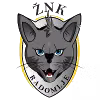 ZNK Radomlje (nữ)
