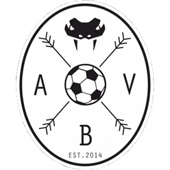 Aarhus Black Vipers